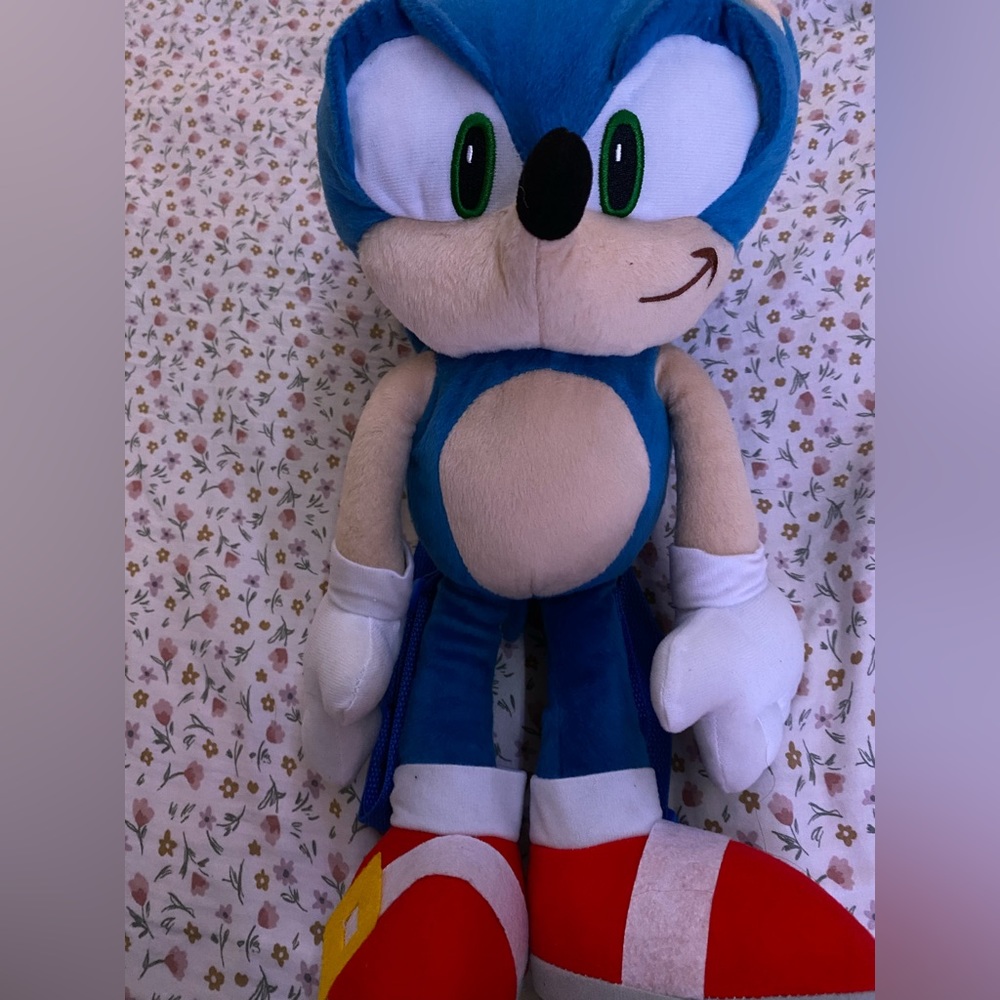 never used sonic the hedgehog backpack